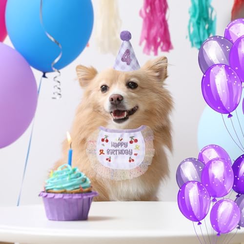 Chicingyou Dog Birthday Outfit Set Lace Bib Number Stickers, Cute, Purple
