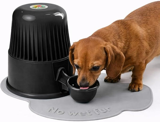 Pet Water Dispenser for Dogs and Cats, 67.6 oz – Gravity-Fed Water Bowl for Clean Drinking, Prevents Wet Fur, BPA-Free Polypropylene, (Opaque Black)