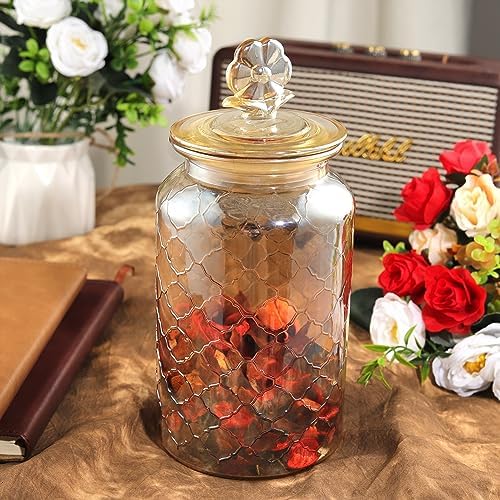 Joeyan 45 oz Amber Glass Storage Jar with Airtight Glass Lids, Vintage Embossed Food Container, Decorative Kitchen Canister Organizer for Candy, Flour, Coffee Bean, Pet Treats