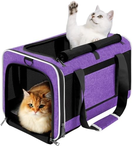 GAPZER Large Cat Carrier Soft, Collapsible Travel Pet Carry Bag, Small Dogs | Large Cats up to 20 lbs+ Maine Coon, Top Load Transport Small Puppy Dog Crate, Chihuahua Mini Dog 10lbs, Sturdy Fabric Pueple
