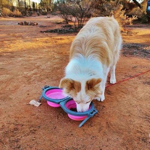 Loving Pets Bella Roma Double Diner Collapsible Dog Bowls - Silicone Dog Bowls, Foldable Bowl, Puppy Essentials & Hiking Pet Supplies Great for Home & Travel (Pink, Small)