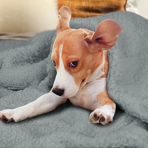 furrybaby Pet Blanket, Soft Warm Sherpa Fleece Bed Blanket for Small Pets