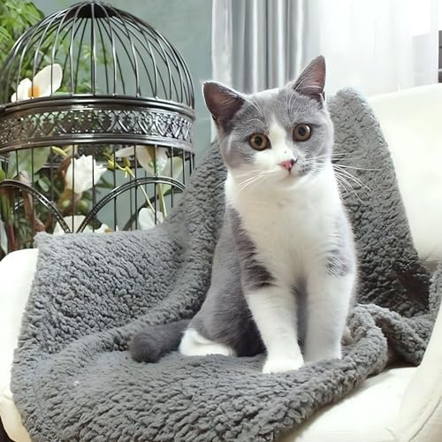 furrybaby Pet Blanket, Soft Warm Sherpa Fleece Bed Blanket for Small Pets
