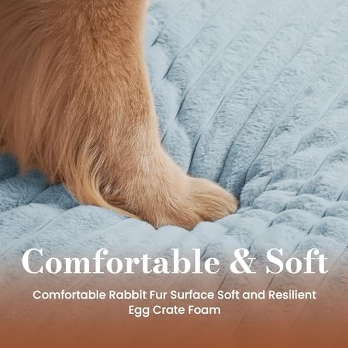 Dog Beds for Large Sized Dog, Orthopedic Foam with Waterproof Lining | Egg crate foam for joint support. Soft plush surface. Non-slip bottom. Removable & machine washable cover. OEKO-TEX certified