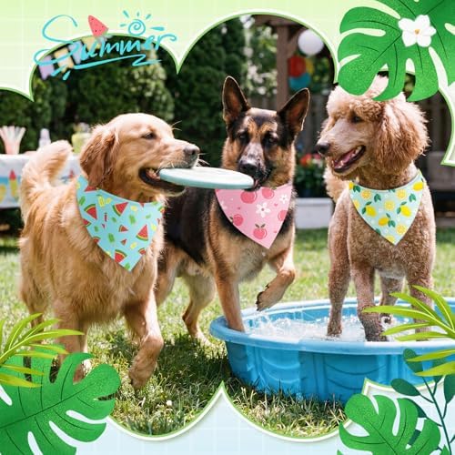 Abbylike 50 Pcs Summer Hawaiian Dog Bandanas Bulk, Tropical Fruits