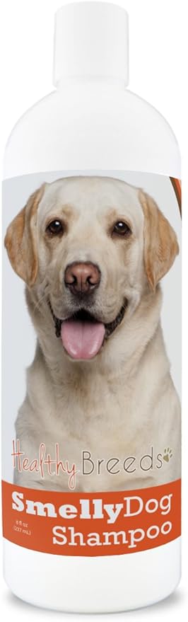 Healthy Breeds Labrador Retriever Smelly Dog Baking Soda Shampoo 8 oz