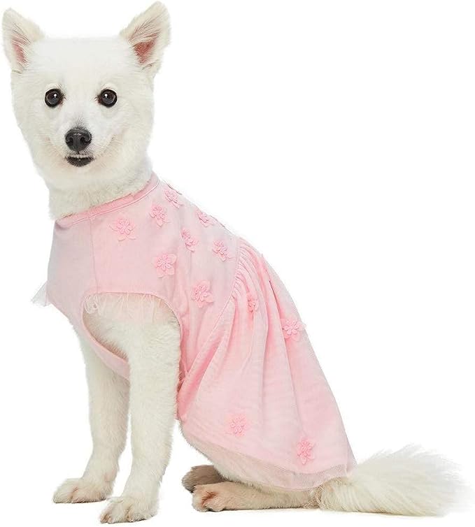 Blueberry Pet My Little Princess Dog Clothes - St Patricks Day Dress Girls, Baby Pink Dog Dress, Cat Dress, Dog Easter Dress, Girls Birthday Dress, Dress Up Clothes - 16" Back Length