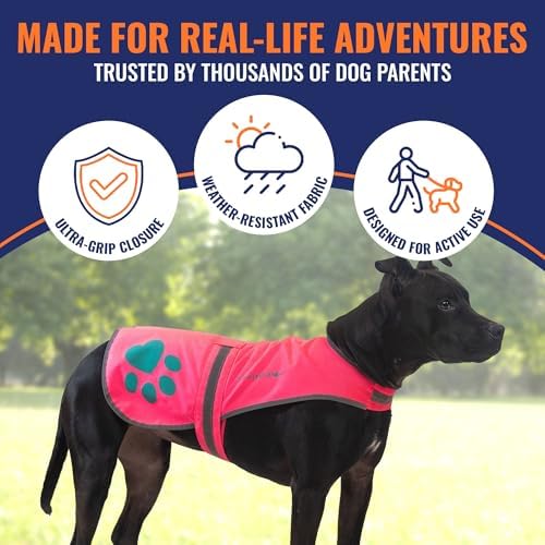 Reflective Dog Vest, Hi Vis Safety Gear for Low-Light Morning & Night Walks