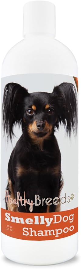 Healthy Breeds Russian Toy Terrier Smelly Dog Baking Soda Shampoo 8 oz