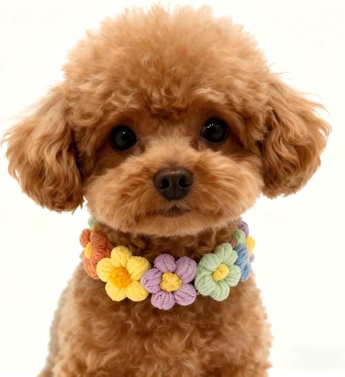 Handmade Dog Outfit– Ice Cream Cat Hat & Floral Wreath Dog Collar for Rabbits, Cats and Small to Medium Dogs, Adjustable Cute Cat Outfit for Birthday, Holiday, Daily Wear & Photos