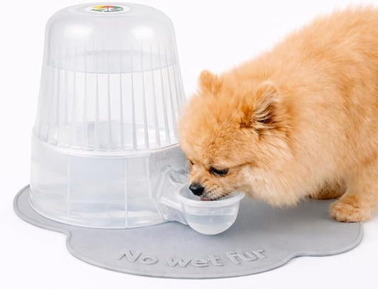 Pet Water Dispenser for Dogs and Cats, 67.6 oz – Gravity-Fed Water Bowl for Clean Drinking, Prevents Wet Fur, BPA-Free Polypropylene, (Clear)