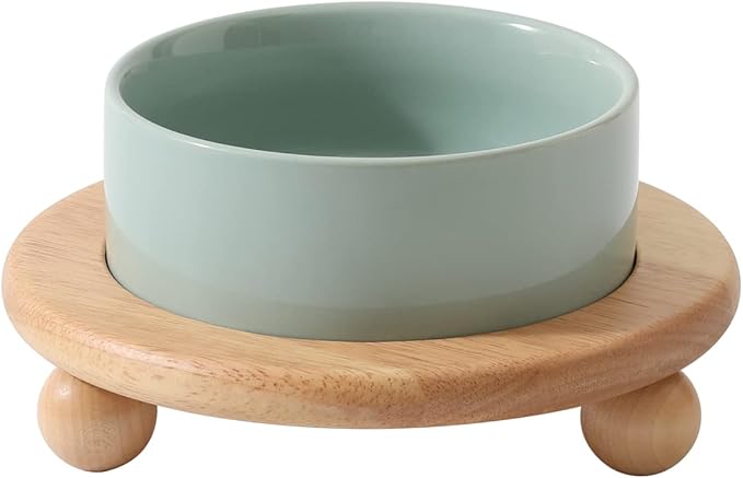 Havniva Ceramic Elevated Cat Food and Water Bowl, Kitty Bowl, Raised Cat Dish, Pet Feeder (5.1 in,1 x Light Green + Stand)