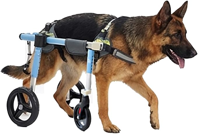 Full Support 4-Wheel Dog Cart Adjustable Height Width Pet Mobility Cart Durable Aluminum, Comfort Harness for Disabled Injured Dogs Park Bike Ride Travel