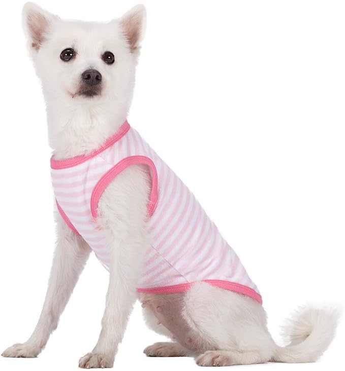 Blueberry Pet Pack of 2 Soft & Comfy Terry Cotton Pink Wonderland Sleep & Play Dog Pajamas & Tank Top T Shirt, Back Length 12", Clothes for Girl Dogs