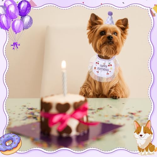 Chicingyou Dog Birthday Outfit Set Lace Bib Number Stickers, Cute, Purple