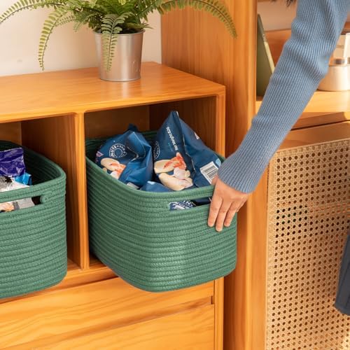 OIAHOMY 4 Pack Storage Baskets for Organizing 15L Cube Storage Bins Green