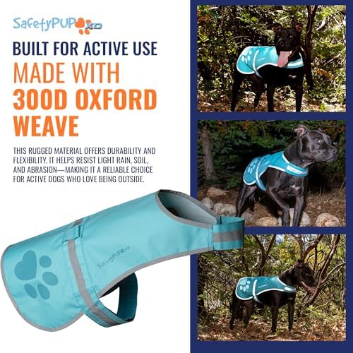 Reflective Dog Vest, Hi Vis Safety Gear for Low-Light Morning & Night Walks