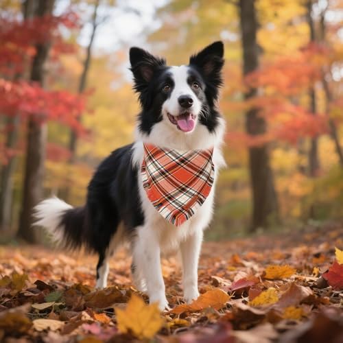 ADOGGYGO Fall Thanksgiving Dog Bandana, Autumn Plaid Dog Scarf, Large