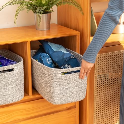 OIAHOMY 4 Pack Storage Baskets for Organizing 24L Cube Storage Bins Grey