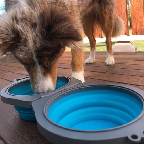 Loving Pets Bella Roma Double Diner Collapsible Dog Bowls - Silicone Dog Bowls, Foldable Bowl, Puppy Essentials & Hiking Pet Supplies Great for Home & Travel (Blue, Medium)