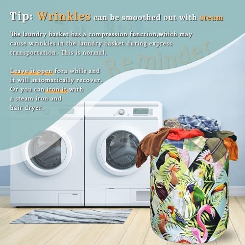 Tropical Birds Laundry Basket Foldable Oxford Cloth Hamper 18.9" x1 6.5"