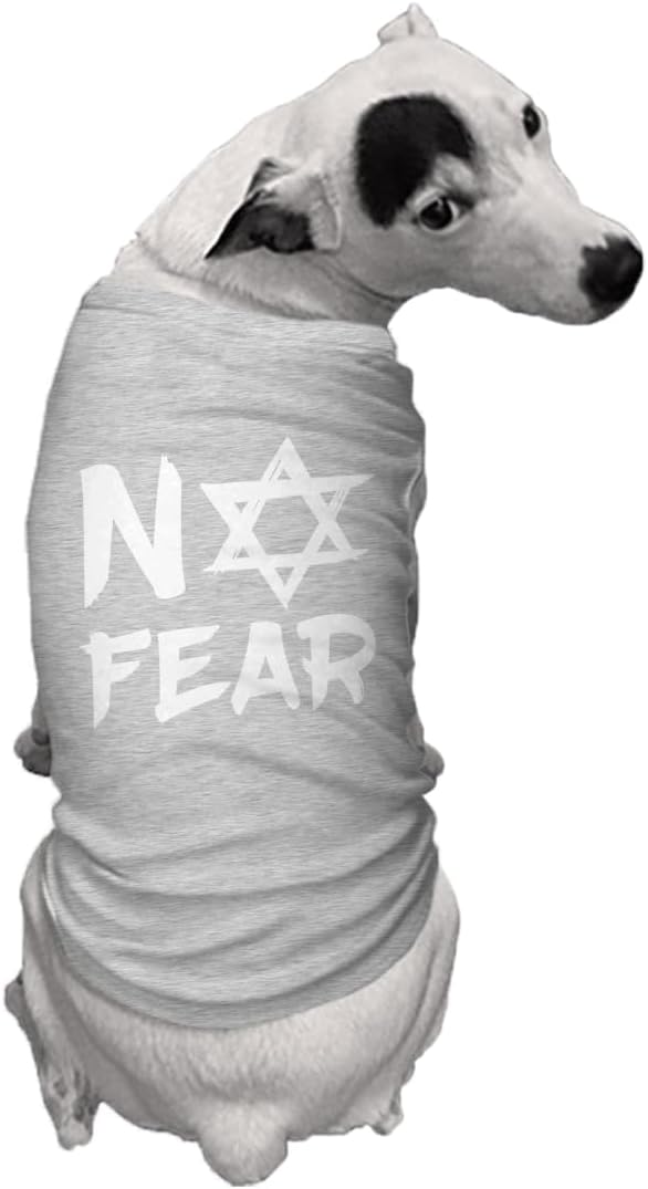 No Fear Star of David - Stand with Israel Dog Shirt (Light Gray, X-Small)