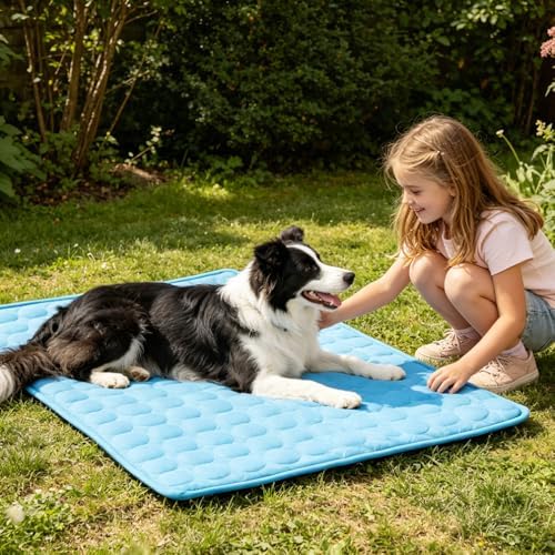 2026 Arc-Chill Upgraded Dog Cooling Mat Q-Max>0.4 Pet Cooling Pad | Non-slip Dog Bed Mats Washable Cooling Mat for Dogs Cats Instant Cool Relief for Indoor Floor Sofa, Outdoor Garden& Car Seats