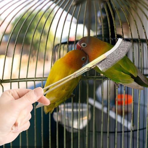 Ipetboom Bird Cage Cleaning Brush Long Handle Pet Cage Cleaning Accessory with Straight and Elbow Heads Hanging Storage Hole for Corners and Narrow Spaces