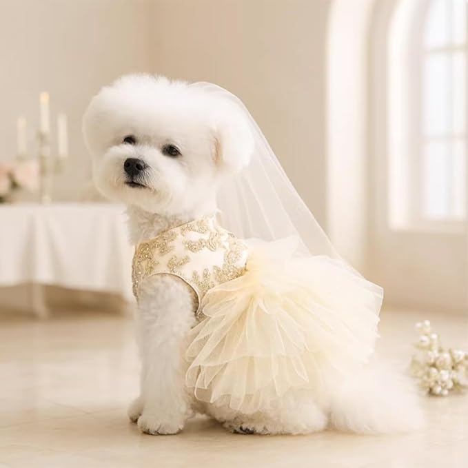 Princess Dog Wedding Dress - Embroidered Gown with Fluffy Tutu Skirt & Leash D-Ring, Formal Party Outfit for Small Dogs & Cats Like Chihuahua Yorkie (White Bow-Princess, Small)