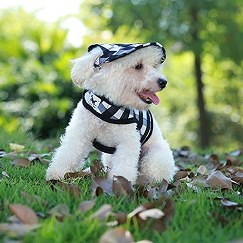 Leconpet Baseball Caps Hats with Neck Strap Adjustable Comfortable Ear Holes for Small Medium and Large Dogs in Outdoor Sun Protection (XL, Orange)