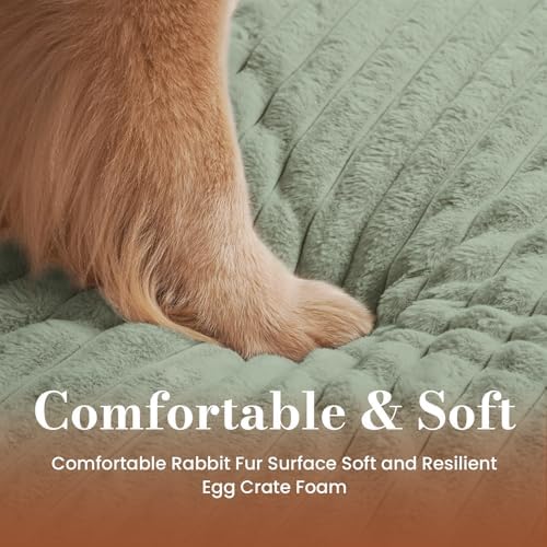 Extra Large Dog Bed Orthopedic Foam with Waterproof Lining | Egg crate foam for joint support. Soft plush surface. Non-slip bottom. Removable & machine washable cover. OEKO-TEX certified