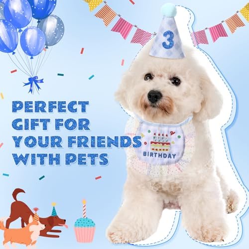 Chicingyou Dog Birthday Outfit Set Lace Bib Number Stickers, Cake, Blue