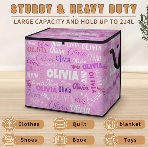 Custom Name Large Clothes Storage Organization with Lids, Kids Toys Bin Shelf Basket, Bedding Clothes Towel Storage Bin for Nursery, Gift Basket, Pet Basket, Light Pink Background