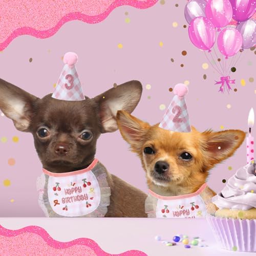 Chicingyou Dog Birthday Outfit Set Lace Bib Number Stickers,Cute,Pink