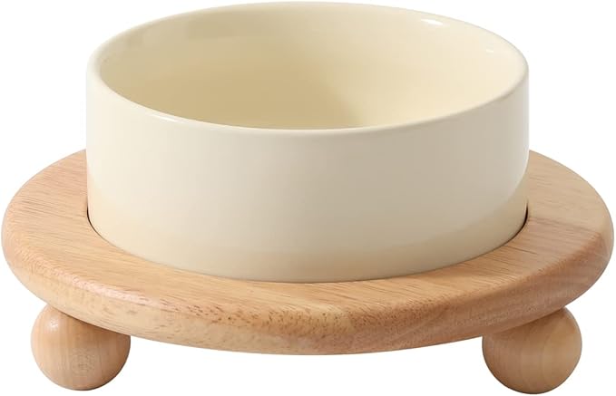 Havniva Ceramic Elevated Cat Food and Water Bowl, Kitty Bowl, Raised Cat Dish, Pet Feeder (5.1 in,1 x Light Yellow + Stand)