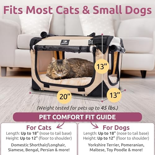 Cat & Dog Pet Carrier, Soft-Sided, Medium 20"x13"x13" Fits Most Cats or Small Dog, Comfortable for Travel & Vet Visits, Privacy Windows, Removable Plush Bed, Locking Zippers, Folds Flat