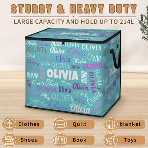 Custom Extra Large Storage Baskets Named with Lid, Personalized Storage Bins Basket Boxes Handles for Clothes Blanket Bedroom Closet Organizing Toys Shelves, Lake Blue with Colorful Names