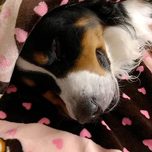Snuggle Puppy Fleece Blanket for Dogs, Machine Washable, 48 x 30 in