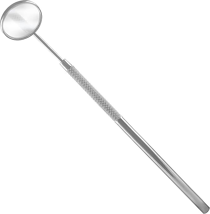 Professional Dental Hygiene Kit - Stainless Steel Tartar Remover, Tooth Scraper, Pick Scaler, Penlight, Toothbrush, and Case