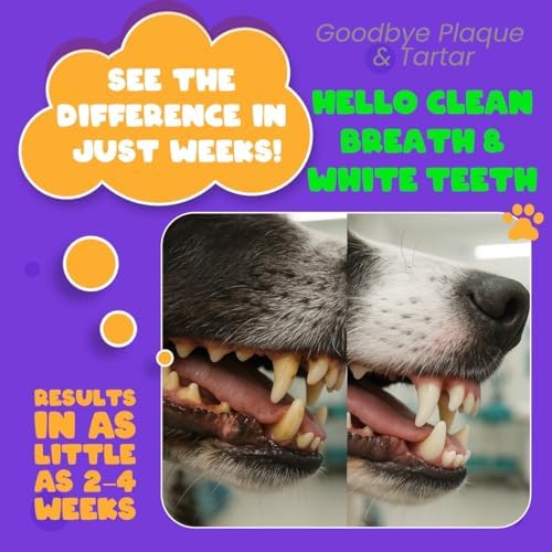 Dog Toothbrush Kit, 360° Silicone Finger Toothbrush for Dogs & Cats, Soft Bristle Pet Teeth Cleaning Set, Includes Storage Case, 2 Packs
