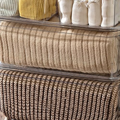Desktop Storage Box with Lid for Makeup and Beauty Products, Stackable Pet Sundries Organizer with Smooth Inner Surface, for Vanity and Bathroom Use