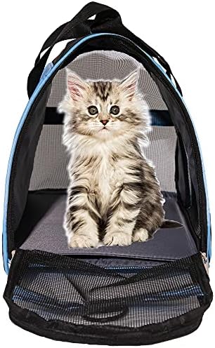 MuchL Pet Carrier Cat Cattier Soft-Sided Carriers for Small Medium Cats Dogs Puppies Pet Carrier Airline Approved Cat Dog Pet Travel Carrier (Medium, Blue)