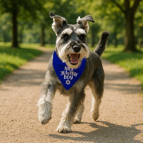 Nice Jewish Boy Pet Bandana, Jewish Pet Accessories Dog Scarf, Adjustable Comfortable Triangle Dog Scarf for Small Medium Dogs, Funny Pet Accessories