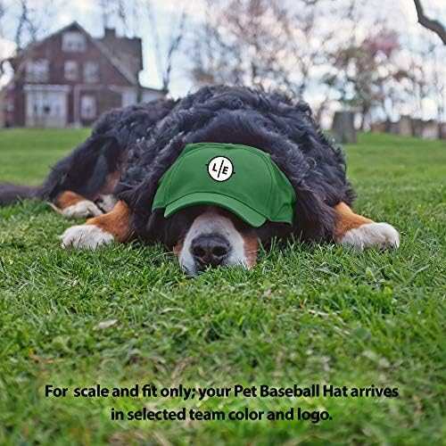 Littlearth Unisex NHL Pet Baseball Hat