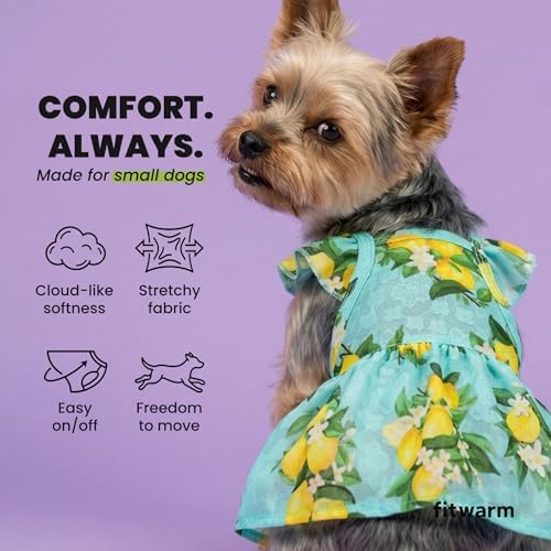 Fitwarm Lemon Dog Dress, Dog Clothes for Small Dogs Girl, Pet Cat Apparel, Teal Blue, Yellow, Green, Medium
