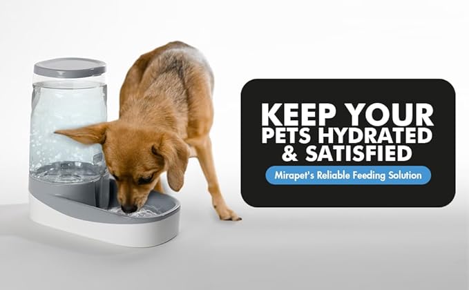 3.8L Gravity Water Bowl - Automatic Pet Water Dispenser for Dogs and Cats