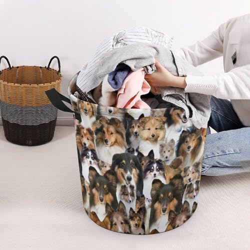 Sheltie Dog Print Laundry Basket, Funny Sheltie Dog Face Laundry Hamper, Foldable Waterproof Oxford Cloth Tote Bag Dirty Clothes Storage Bucket Organizer for Bathroom Bedroom
