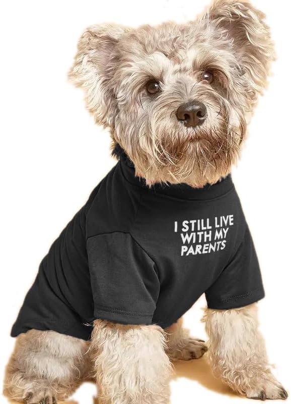 Cute Dog Clothes, T Shirt for Medium and Small Dogs Girl Boy,Puppy.Breathable Soft Dog Costume for Pet Dogs Cats, Pet Pullover Jumper, Cat Clothes XL-(16~20lb),Chest~20",Black,Parents