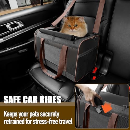 GAPZER Large Cat Carrier Soft, Collapsible Travel Pet Carry Bag, Small Dogs | Large Kitty Cat 20 lbs Maine Coon, Top Load Transport Small Puppy Dog Kennel, Yorkie Little Dog 10lbs, Ventilation Brown