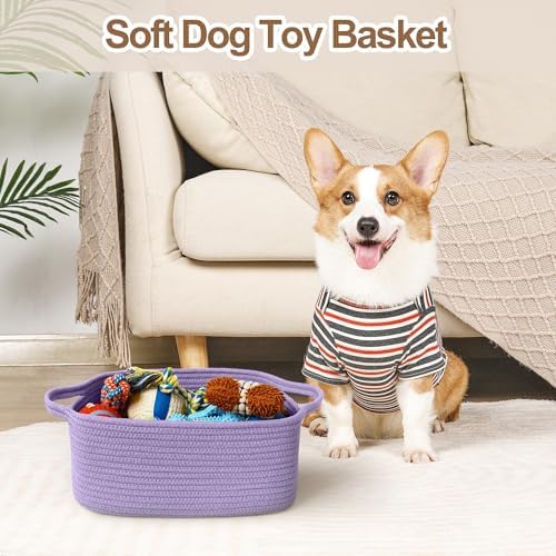 Cute Purple Gift Basket, Woven Baskets for Gifts Empty, Cotton Rope Storage Bin for Organizing, Cat Dog Toy Box, Baby Nursery Organizer, Wicker Easter Basket with Handle, Purple Room Decor